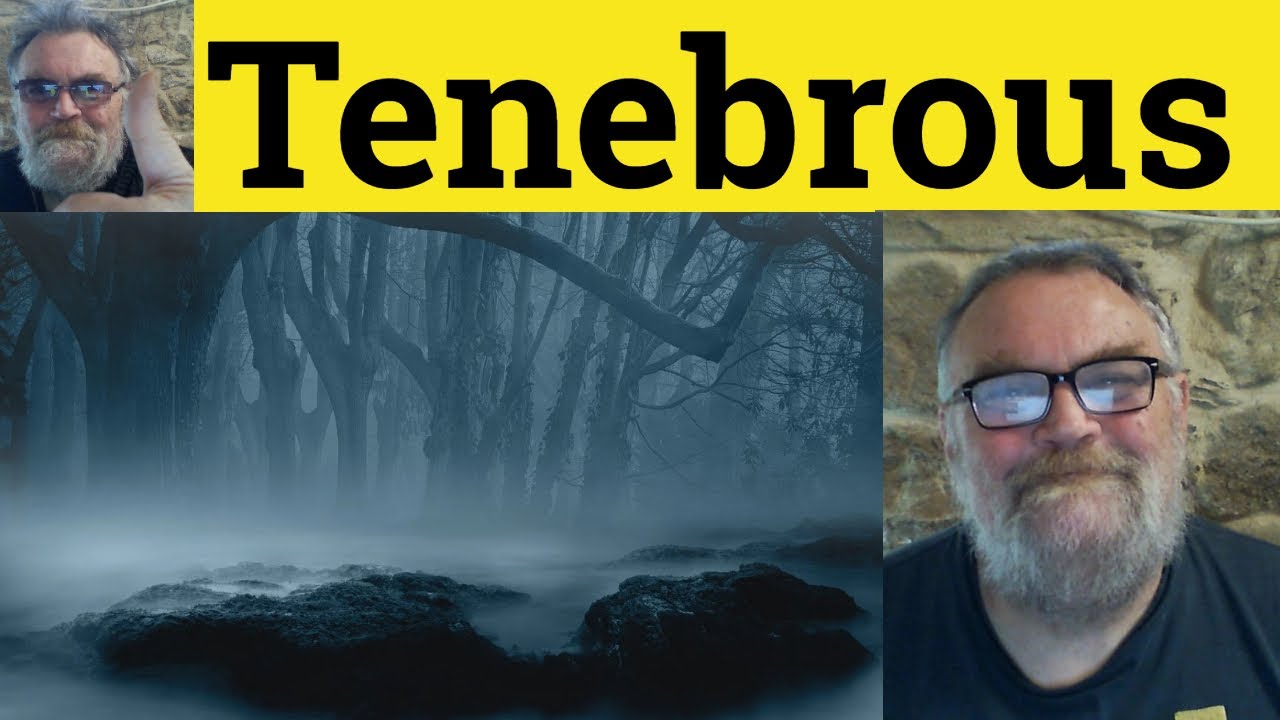 😎 Значение слова «tenebrous» — Определение слова «tenebrous» — Примеры использования слова «teneb...
