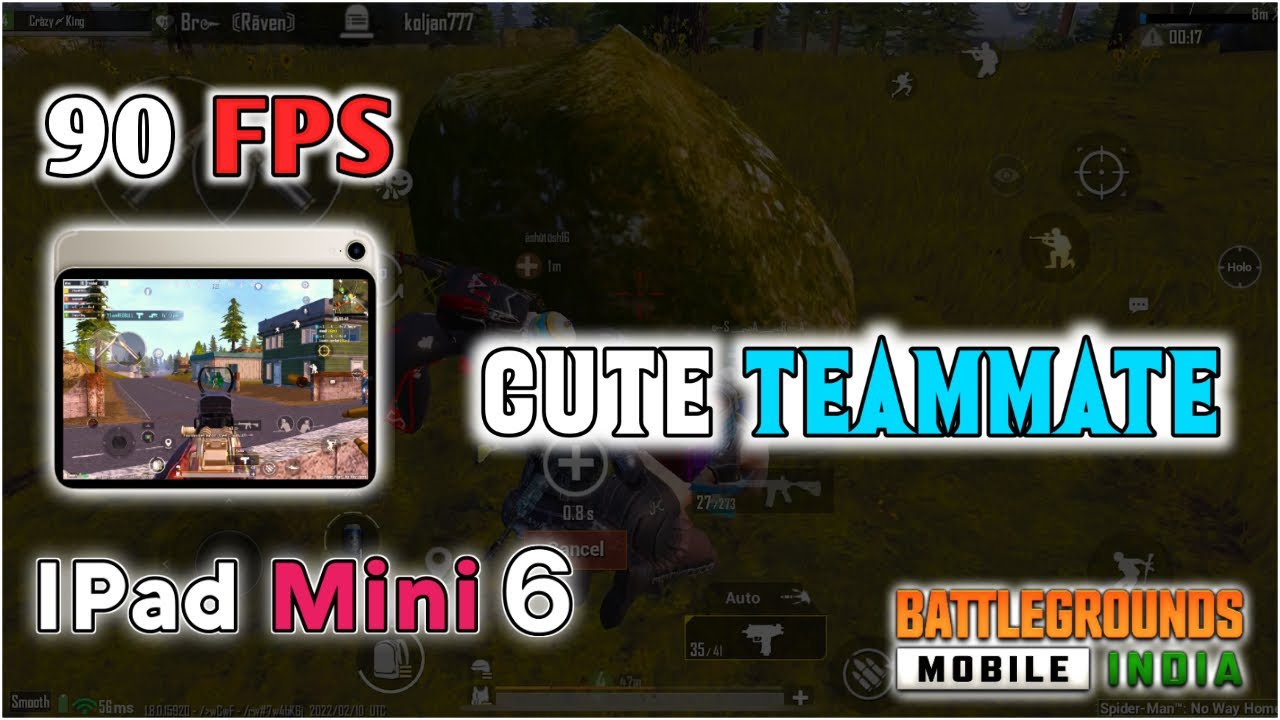 Cute Teammate iPad MINI 6 BGMI Highlight