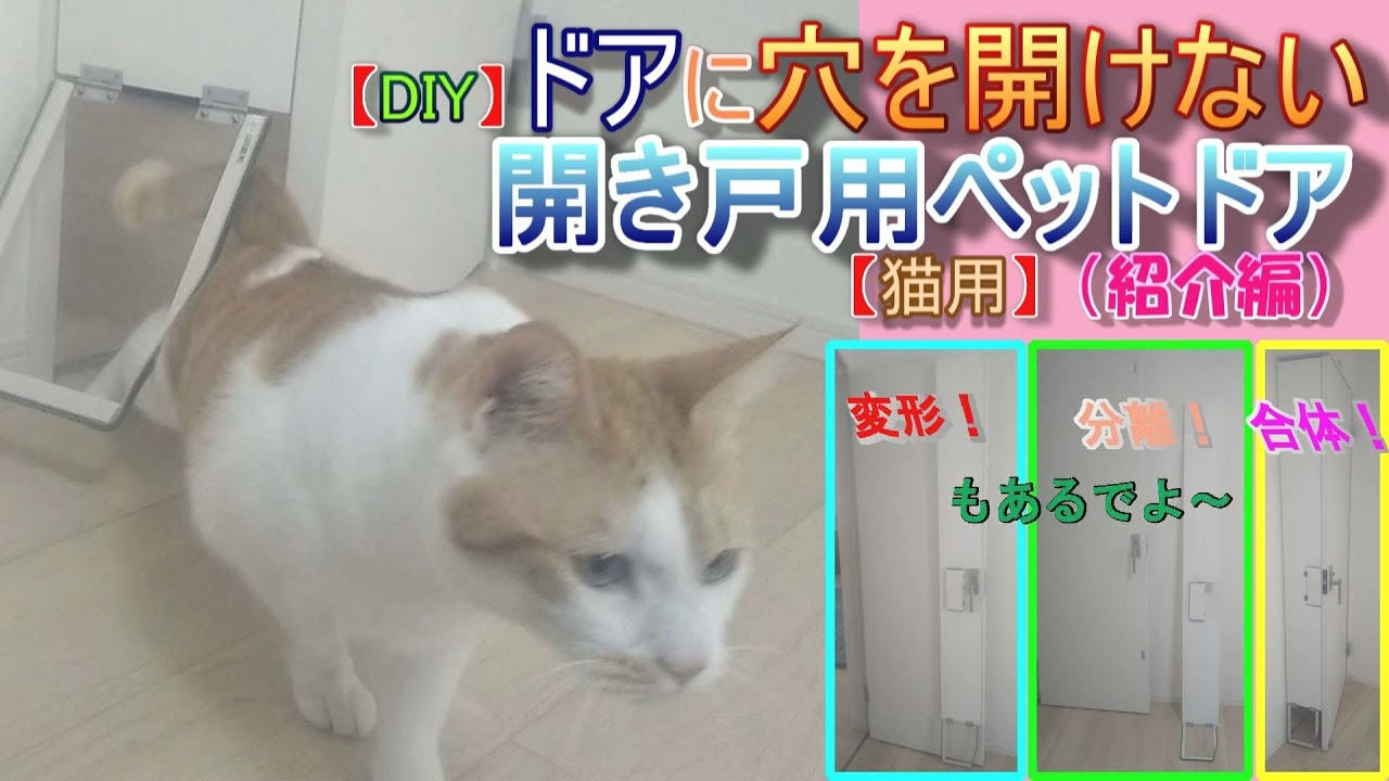 【DIY】ドアに穴を開けない開き戸用ペットドア【猫用】（紹介編）