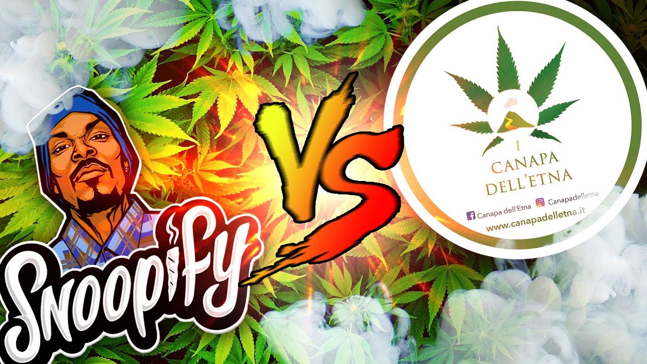 maturazione liquidi svapo Svapo CBD e liquidi CBD per sigarette elettroniche main image 0
