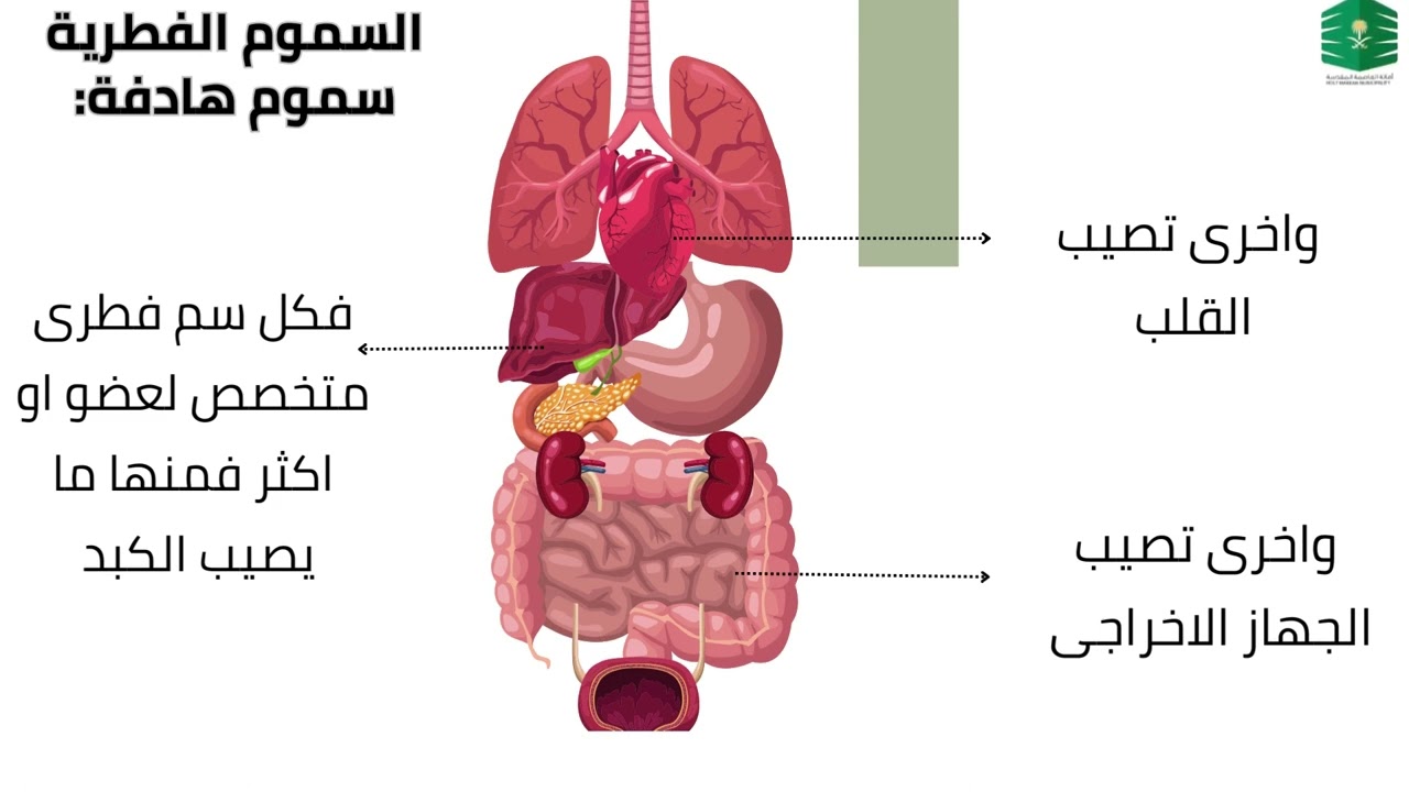 فديو محاضرة يوم الاربعاء 27/09/2023 التسمم الغذائي بمختبرات سلامة الغذاء بالعاصمة المقدسة