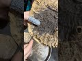Cleaning Hainan Oud Char Makes Crisp Sounds Super Relaxing And Fun Oud Agarwood Hainanoud عود Cleaning Hainan Oud Char Makes Crisp Sounds Super Relaxing And Fun Oud Agarwood Hainanoud عود