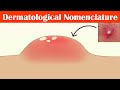 Describing skin lesions dermatological nomenclature  macule papule pustule vesicle  others