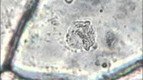 Cell Theory and Technology Advances