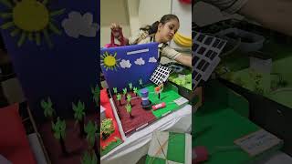 Solar power plant #model #school #project #reels