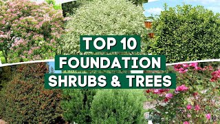 10 Shrubs & Trees You Can Plant Close to The House 🌲🌳  | Foundation Plants 👍👌