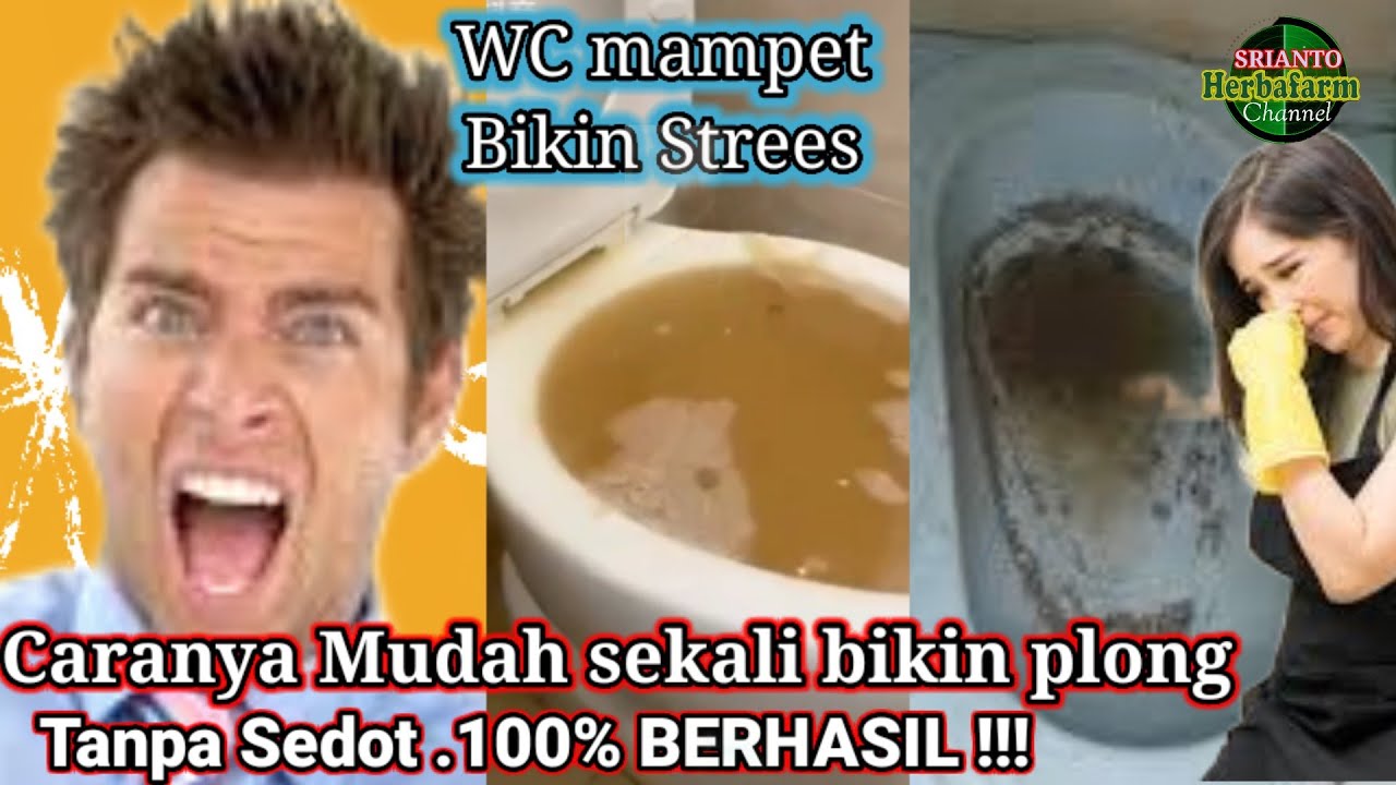 CARA MENGATASI WC MAMPET Di jamin Berhasil100% PLONG