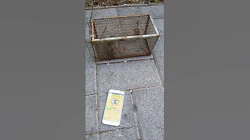 Anti Mouse Sound App 