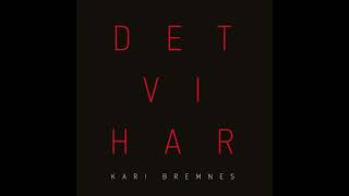 Kari Bremnes  / Det Vi Har
