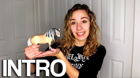 Drastic Custom Fjord "Kion" -  INTRO - How To Customize Your Breyer Model Horse