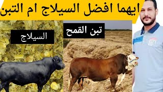 السيلاج ام التبن ايهما افضل لحيوانات المزرعه  / اتعلم تحسب العلفه المالئه مشروع تسمين العجول