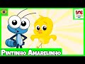 Pintinho Amarelinho - Bob Zoom |  Video Infantil Musical Oficial