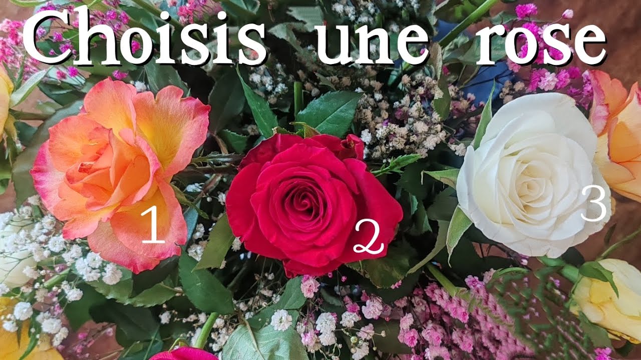 ♥️ Tes guides ont un mesage à te délivrer ♥️ Guidance intemporelle à 3 choix