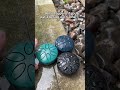 It’s even better😌🌧️ #rainmusic #garden #drum #music #raindrum #rain