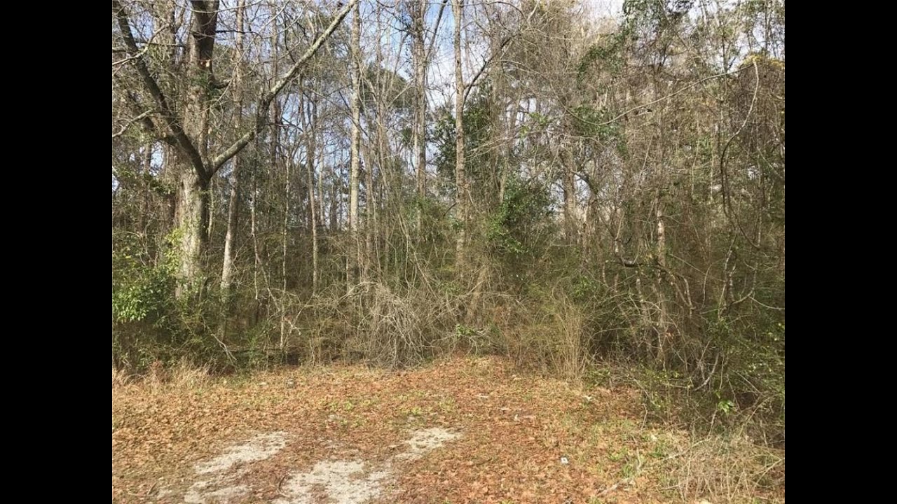 Lots And Land for sale PARKER LANE, MOBILE, AL 36605 YouTube