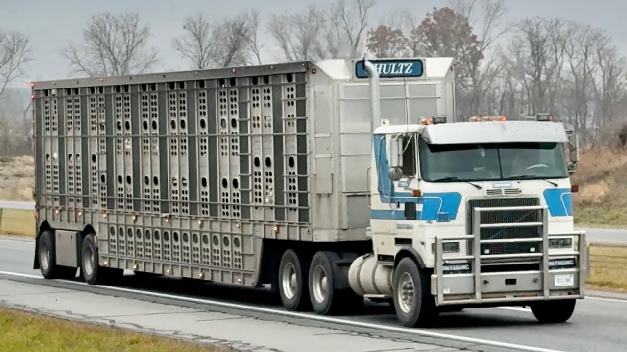 Truck Spotting Alongside I-69 (Ashley, Indiana)