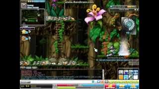 MapleSea Full Map Attack Hack
