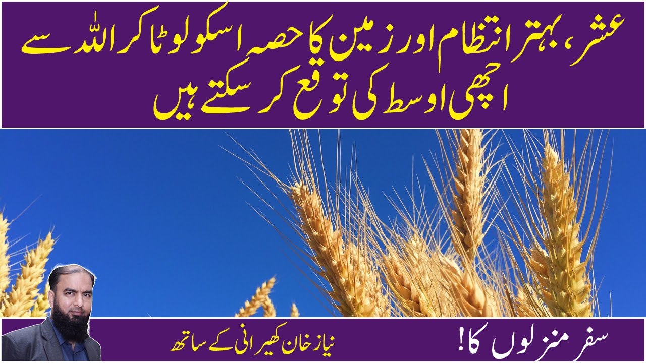 How to increase yield in Crops How to get maximum crop yield  Revival strategy - Niaz khan kherani