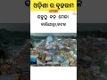     amazing facts in odia  odisha gk  factbook odia facts odia viral shorts
