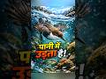 ये पक्षी पानी में उड़कर करता है अपना शिकार।😱 #animalshorts #forest #animals #shorts #lion #wildlife