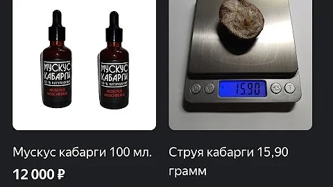 Струя кабарги способ применения от ARKTUR-22.ru