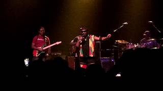 Toots and the Maytals - Pressure Drop [LIVE]