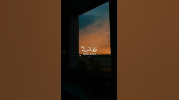 القارئ أحمد خضر  |  سورة البقرة  #قرآن #اكسبلور #ارح_قلبك #راحة_نفسية #قران_كريم #لايك #تلاوة_خاشعة