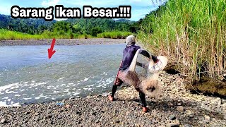 JALA IKAN DI SUNGAI, YANG BESAR TERCIDUK.!!! amazing fishing nets