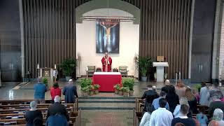 3-29-26: Palm Sunday of the Lord's Passion