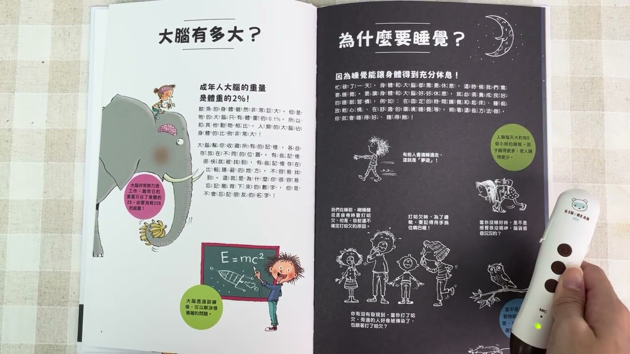 我的知識探索繪本第1輯進入身體裡面的世界／身體遇見外面的世界｜媽咪愛