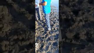 Kür Çayında Batan Gənc Tapıldı