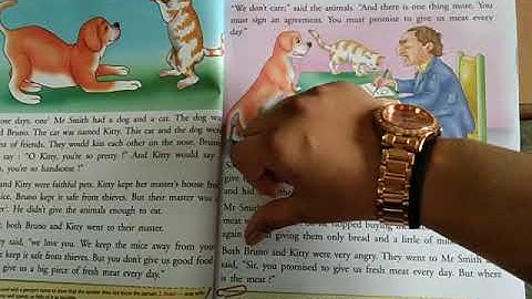 Class 3 Chapter 4 - Cats and Dogs