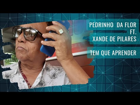 Watch Pedrinho da Flor ft. Xande de Pilares - Tem que aprender (Prod. Windson) Áudio Oficial on YouTube