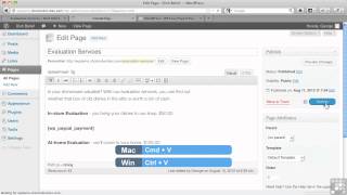 0207 WordPress Easy PayPal Payment Accept Plugin