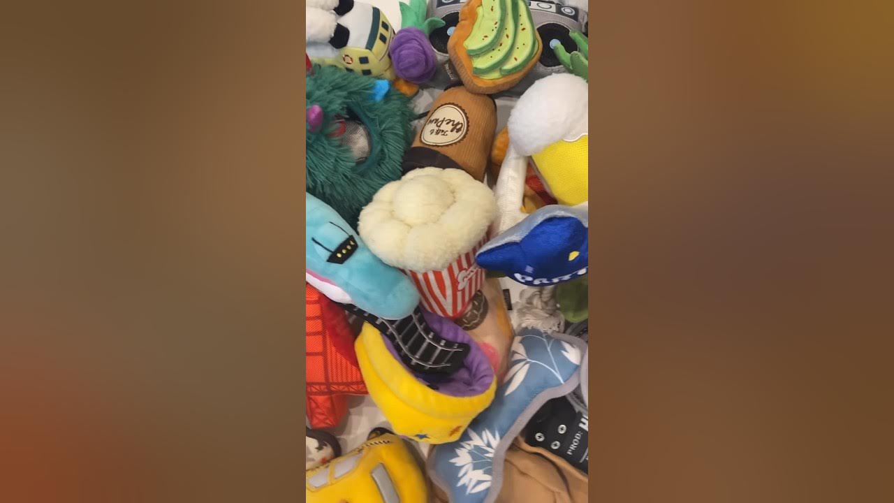 How to Wash Dog Toys 🧸🧼 cleaning laundry dog YouTube