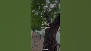 أَفَمَن زُيِّنَ لَهُ سُوءُ عَمَلِهِ فَرَآهُ حَسَنًا ۖ #القارئ_محمد_اسبيعان