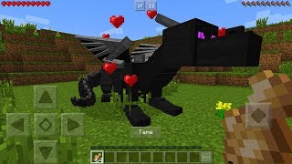 How To Tame a Ender Dragon in Minecraft Pocket Edition (Ride Dragon Addon) screenshot 5