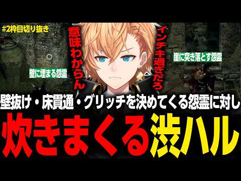 【DARK SOULS】壁抜け・床貫通・グリッチを決めてくる怨霊に対し、炊きまくる渋ハル ♯2枠目【渋谷ハル/切り抜き】