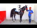 Futurity Zuazua/ Hits# 3-4