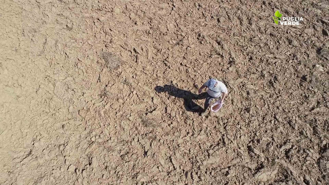 SICCITÀ E CRISI IDRICA IN PUGLIA