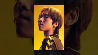 BO le génie brisé...