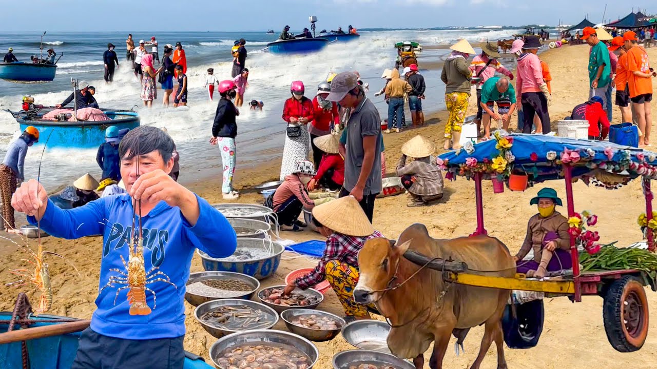 Cam Bình Ngư Dân Nghề Lưới Rạn Gặp Tôm Hùm,Cá Hanh║Món Mực Hấp Tươi Ngon.