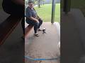 9239. Drop stay sit front seated handler near Nala dog thrown treat people rain park 15 June 2026 MM