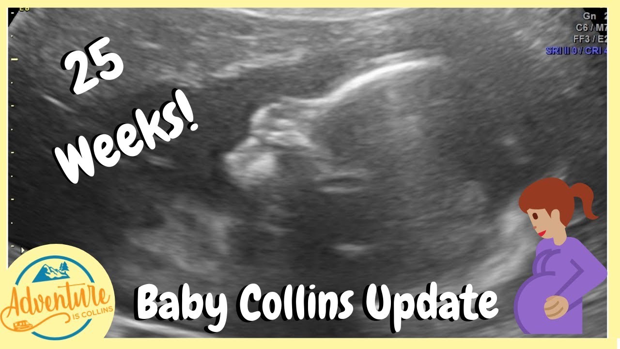 6 MONTH PREGNANCY UPDATE | THIRD BABY BUMPDATE