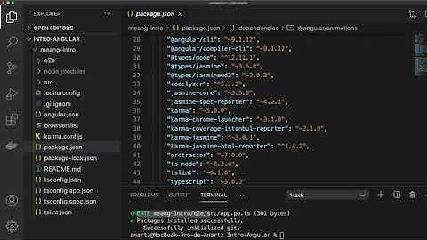 Angular - Repaso  - Crear proyecto con la versión deseada sin tener en cuenta el CLI y análisis