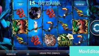 Secrets of Amazon – když se hra vydá do divočiny 🎰 screenshot 5