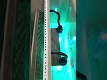 We are a manufacturer of filtration equipment for aquaculture and Koi ponds#koifish #filter #koi