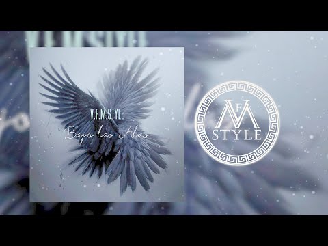 V.F.M.style - Bajo las Alas ( Original Mix)