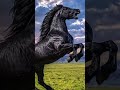 Relaxing Visuals & Calming Horse Journey: Deep Anxiety Relief