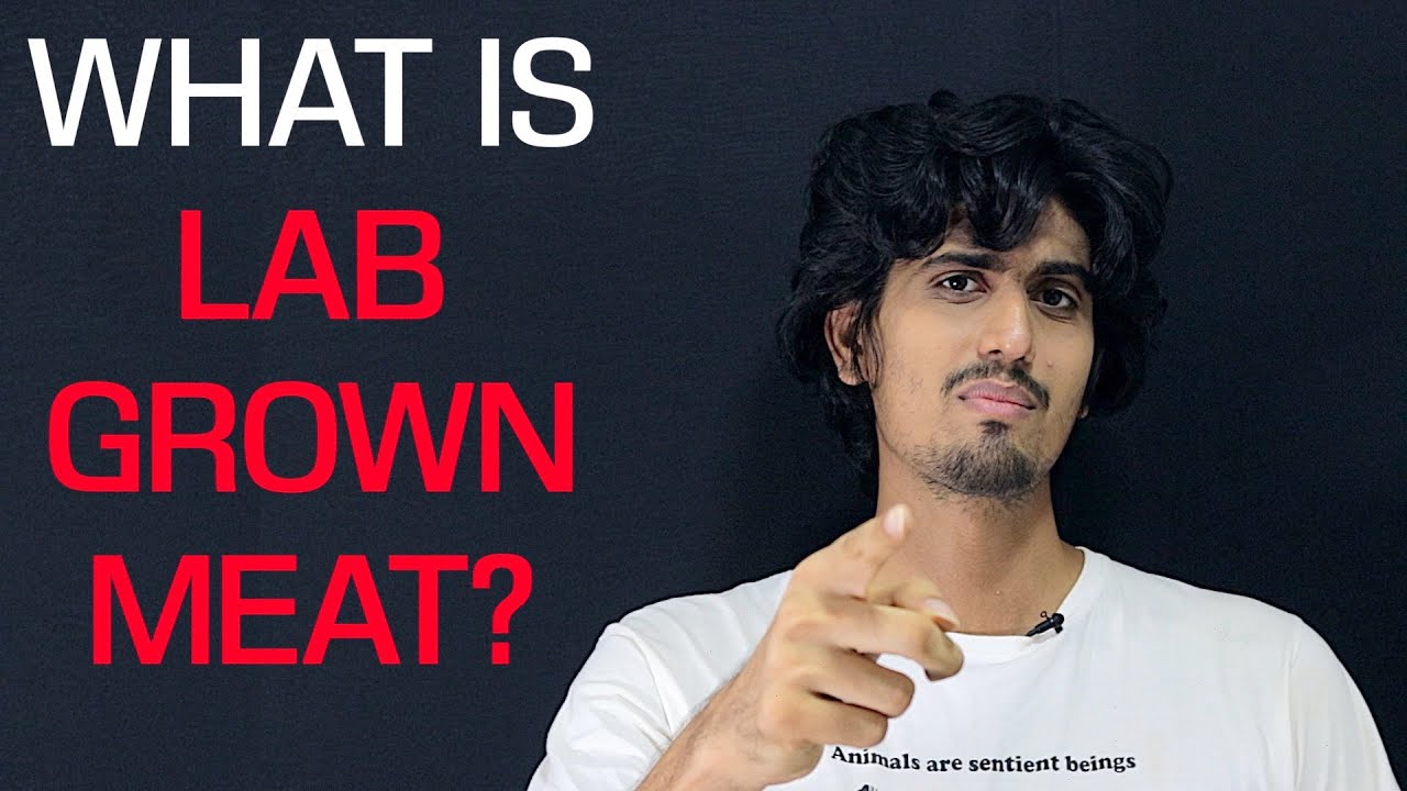 What is Lab Grown Meat? YouTube